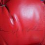 Autographed Kevin McBride Signed Everlast Boxing Gloves (Pair) Image 8
