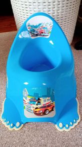 Tega Baby Potty