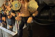 wwe elite chris jericho