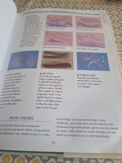 Collins Pastels Workshop: A Practical Course in Pastel Painting to Develop... (Hardcover)