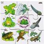 4 New Thick Hand Cut Wooden Jigsaws Life Cycle Image 5