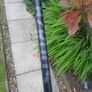 Taylormade Driver Image 4