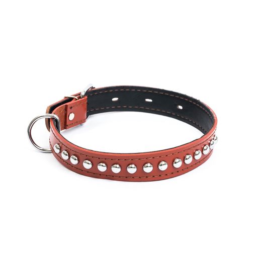 Leather Dog Collar