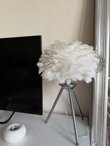 White feather lamp