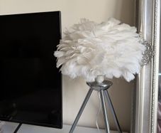 White feather lamp