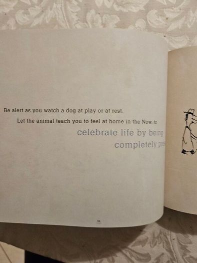 Guartians Of Being.  By Echart Tolle. Art By Patrick Mcdonnell. Hardback With Dustjacket In Good Condition.  See Photos For Same.