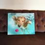 Underwater Dogs and Pups Photography by Seth Casteel on Frameless Printed Tempered Art Glass Image 2