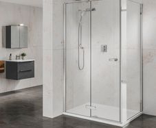 Phoenix hinged i-zone shower door
