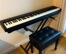 Rolland FP30X Complete Set - As new