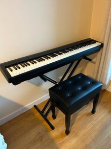 Rolland FP30X Complete Set - As new