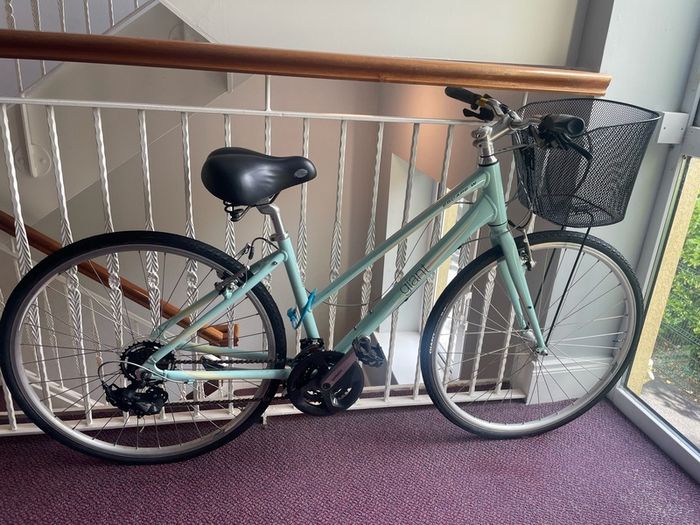 Giant escape ladies bike