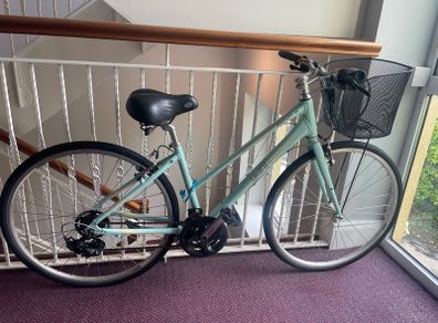 Giant escape ladies bike