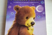 winter wonderland book