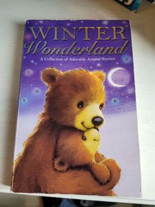 winter wonderland book