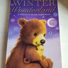 winter wonderland book