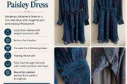 Teal &amp; Magenta Paisley Midi Dress