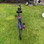 Girls bike Image 4