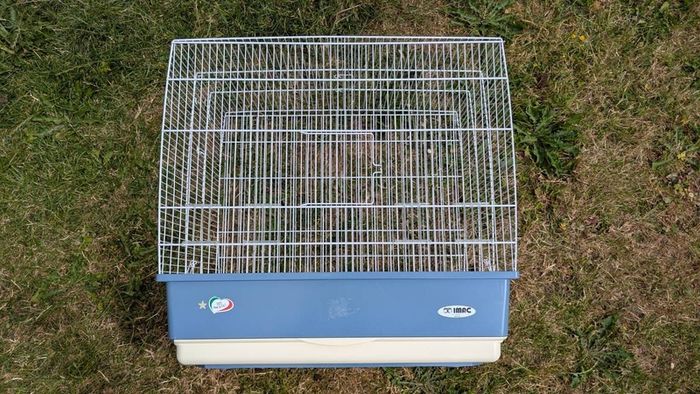 Bird cage medium size