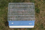 Bird cage medium size
