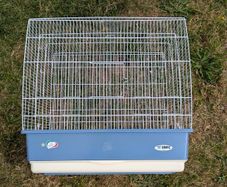 Bird cage medium size