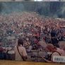 Grateful Dead Book Image 3