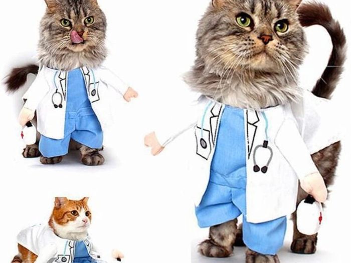 Dog Cat Doctor Costume Pet Doctor Clothing Halloween Jeans Outfit Apparel (MULTIPLE SIZES)