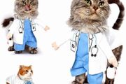Dog Cat Doctor Costume Pet Doctor Clothing Halloween Jeans Outfit Apparel (MULTIPLE SIZES)
