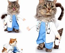 Dog Cat Doctor Costume Pet Doctor Clothing Halloween Jeans Outfit Apparel (MULTIPLE SIZES)