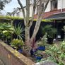 Compspite Slatted Cladding Image 9