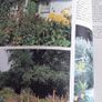 vintage new book flowers for everywhere 1974 Image 7