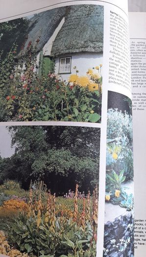 vintage new book flowers for everywhere 1974
