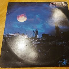 Nektar - Thru' The Ears - Vinyl Record + Hundreds More