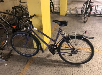 Student bike