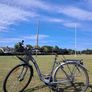 Wonderful city bike Image 2