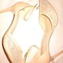 Size 7 Nude mesche Heels Image 2