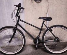 Bmx adult bike