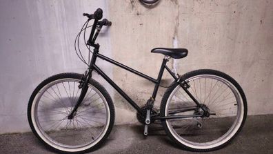 Bmx adult bike