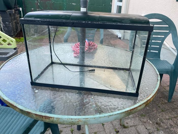 fish tank