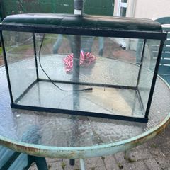 fish tank