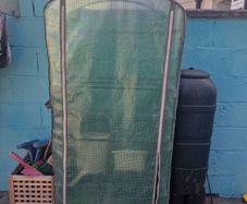 greenhouse
