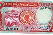 Sudan 5 Pounds 1991