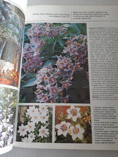 vintage new book flowers for everywhere 1974