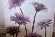 Canvas Picture