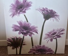 Canvas Picture