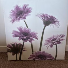 Canvas Picture