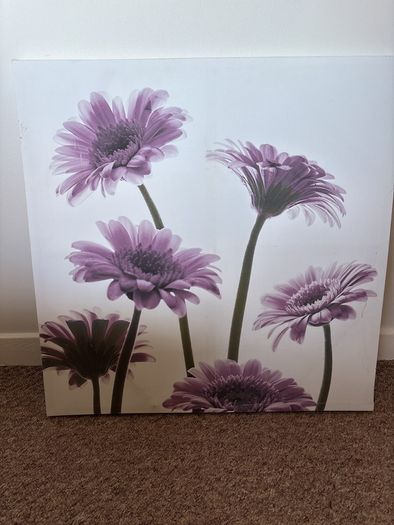 Canvas Picture