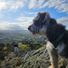 richard_duffy