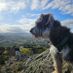 richard_duffy