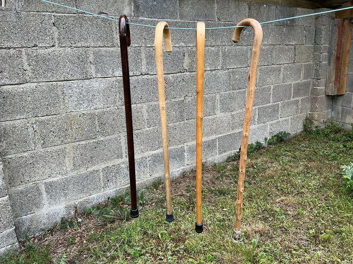 Walking sticks