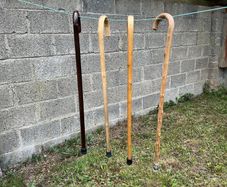 Walking sticks